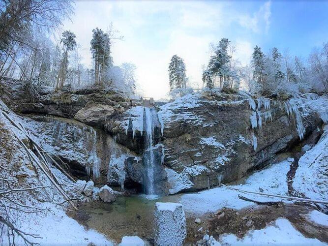 Bergchalet Falkenstein, Інцель Екстер'єр фото